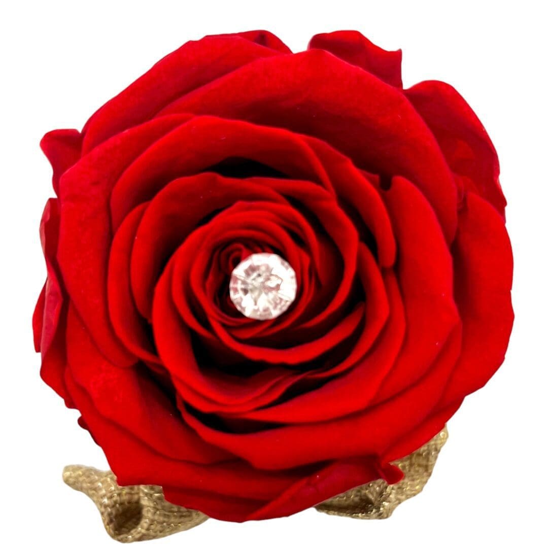 A red rose with a diamond center is shown.