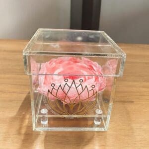 Forever Extra Large Peony
